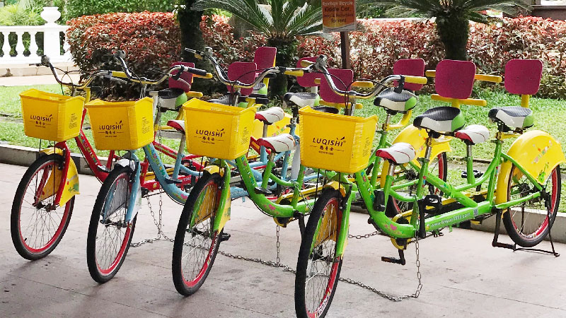 Four Seater Bicycle for Rent